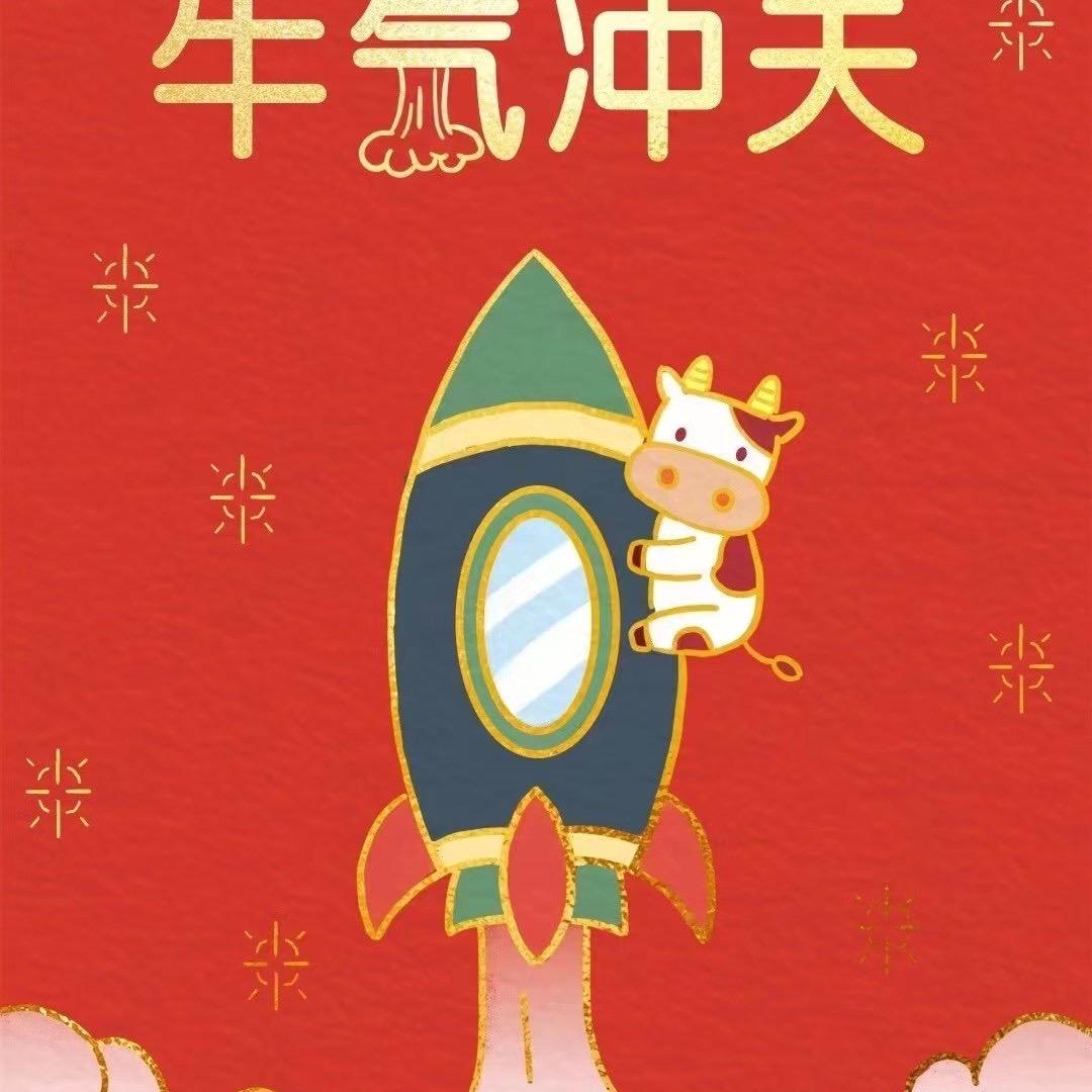 一只婷仔