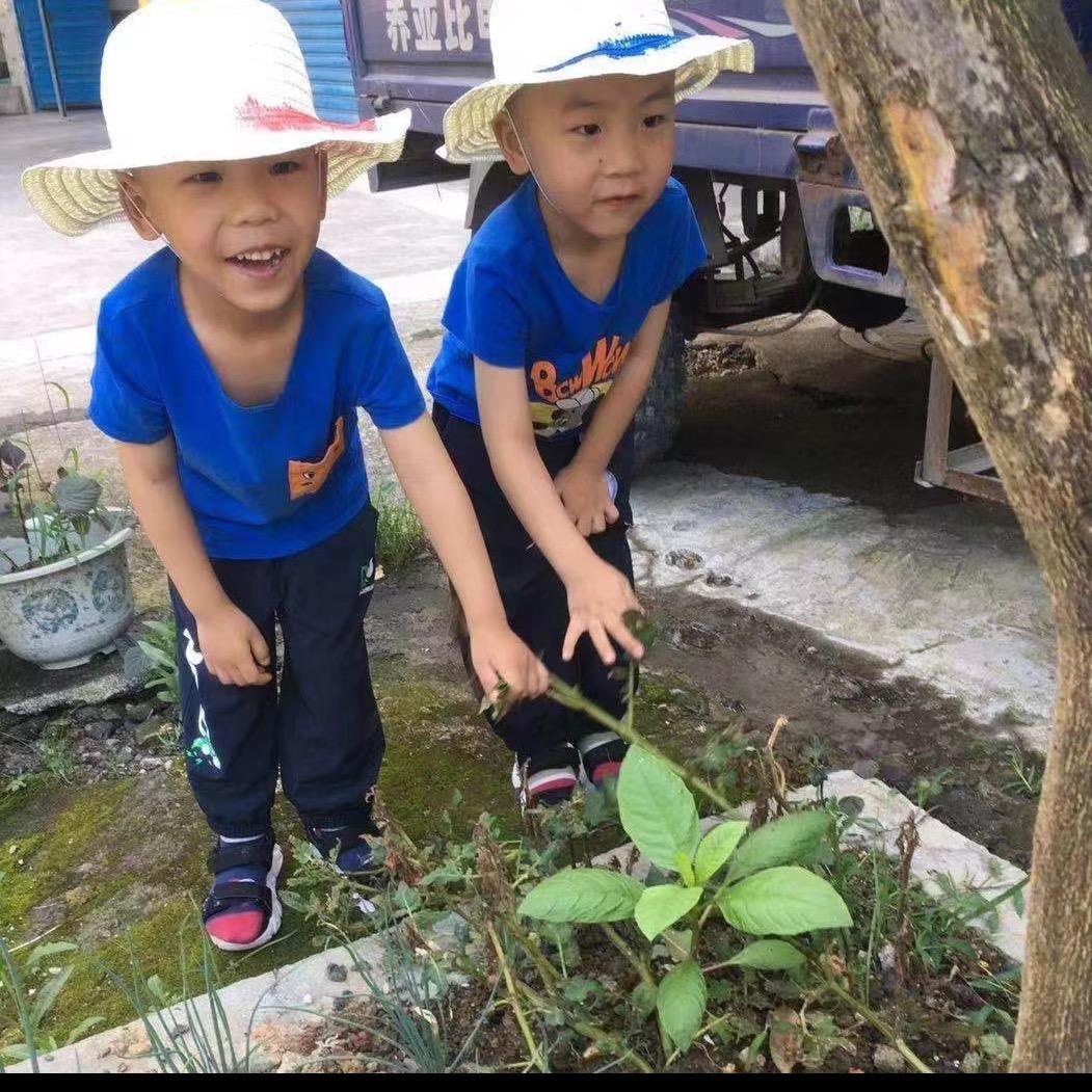 浏阳双胞胎妈妈333777