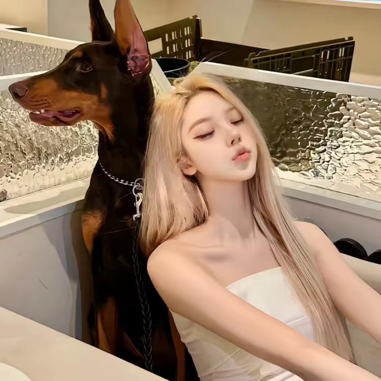 小Y.