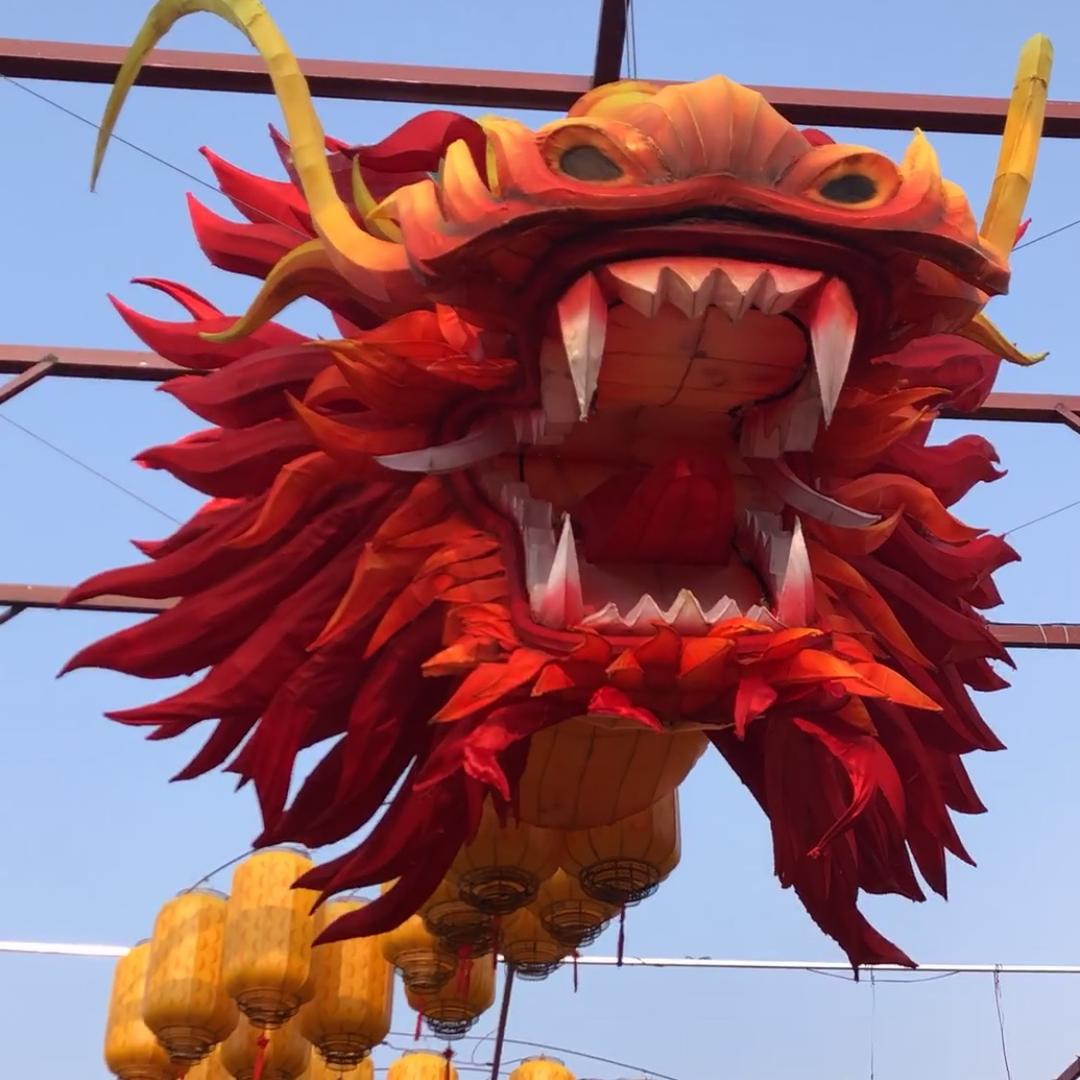 爱运动的吉祥四宝