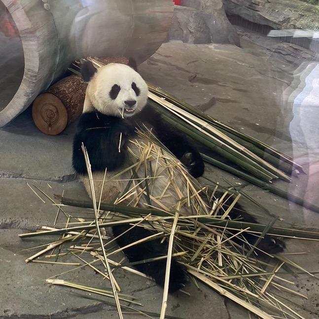 沐沐小食光