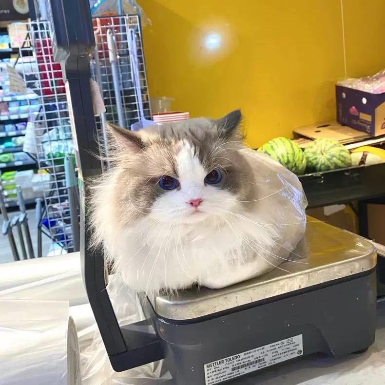 想太多太累