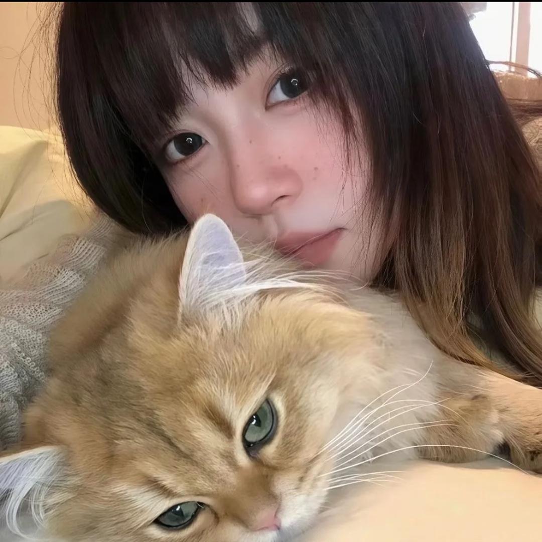 爱吃螺蛳粉O