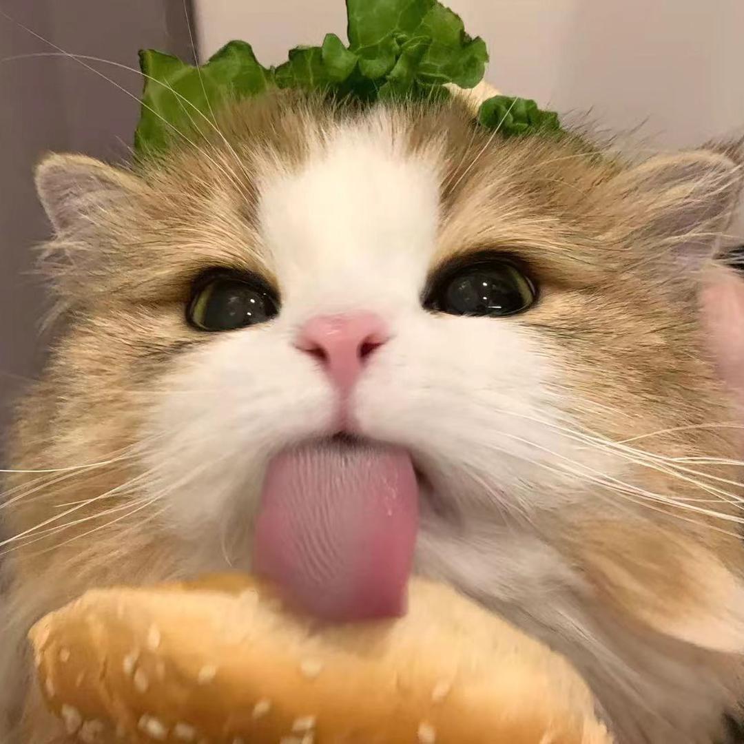 洺、致