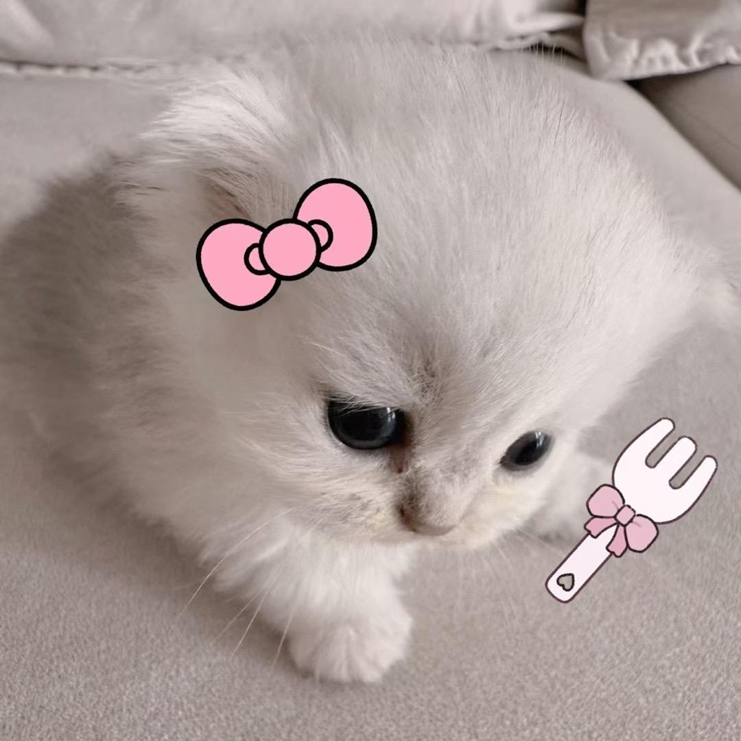 _Yuipᯅ̈