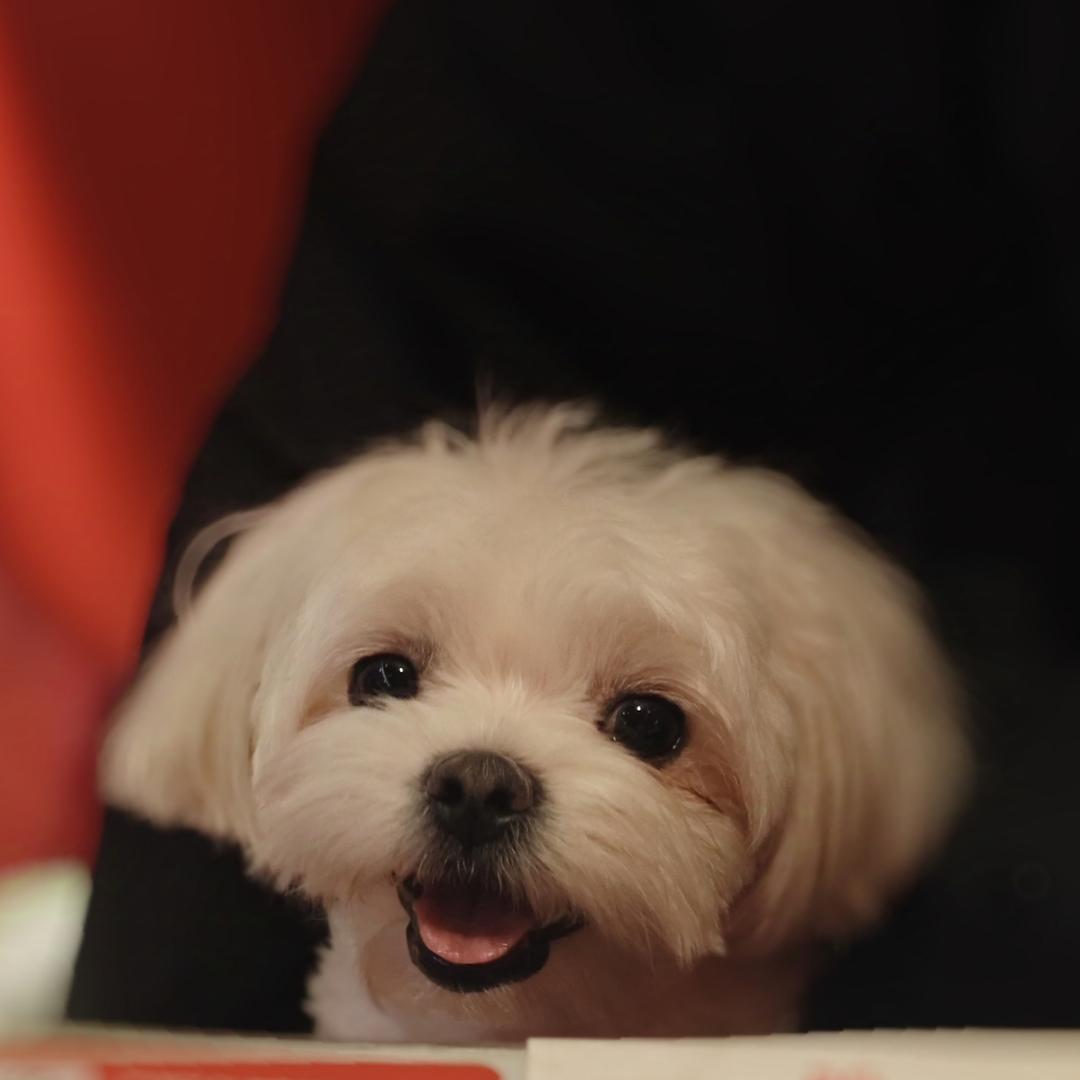 秋木