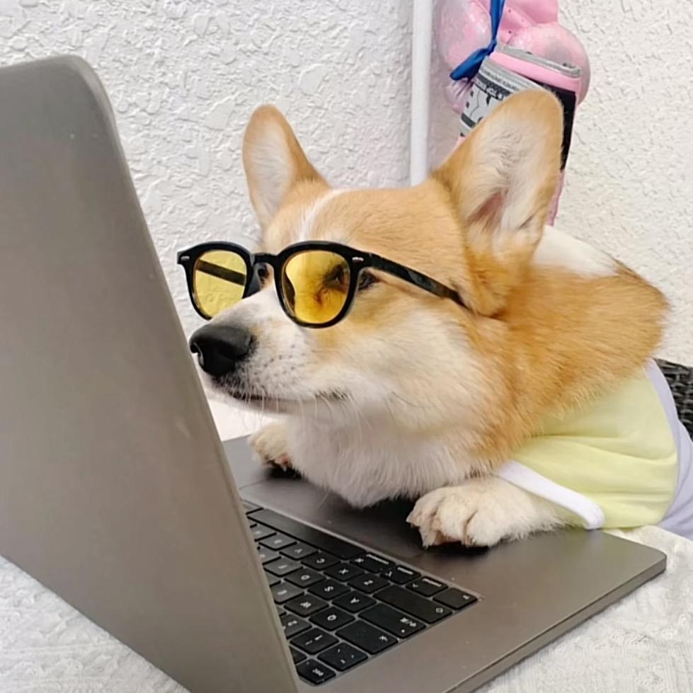 小二狼上山抓羊