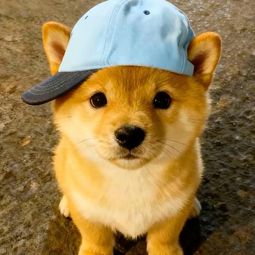 zy