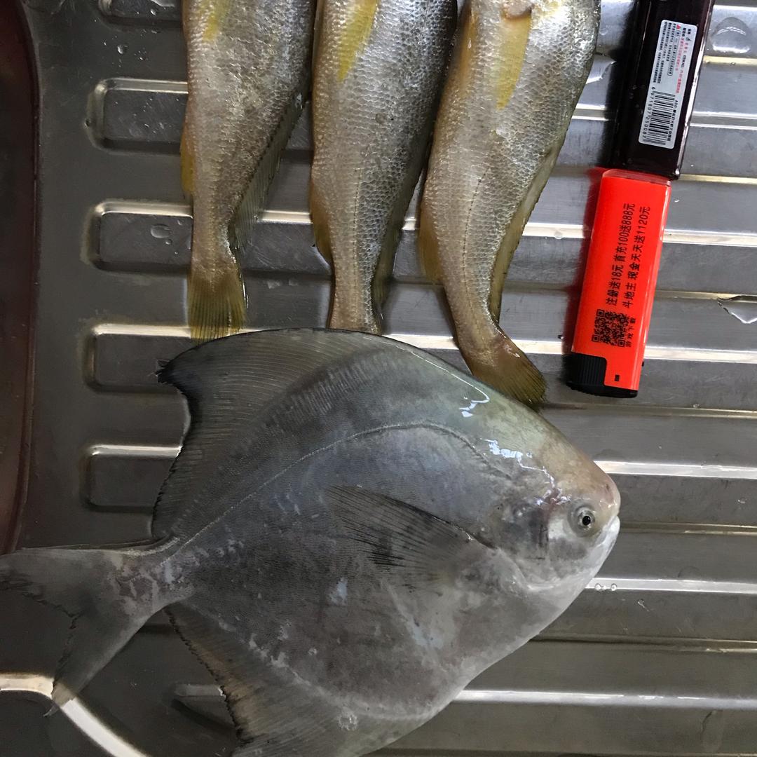 海鲜哥小曾