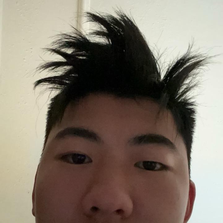 炸毛wan.