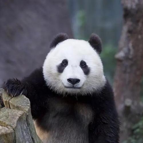 孫