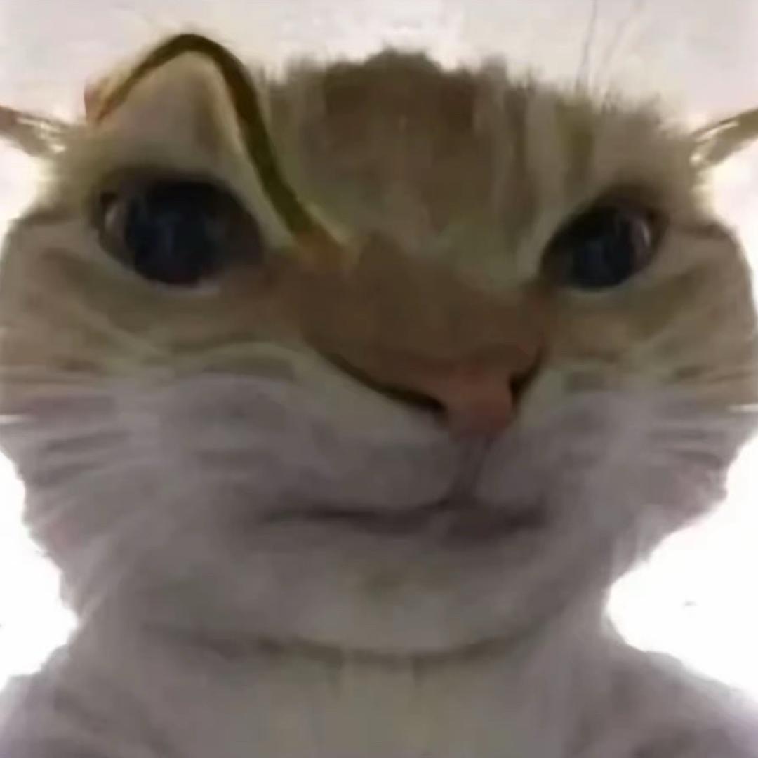 一只跑刀鼠鼠（三角洲行动）