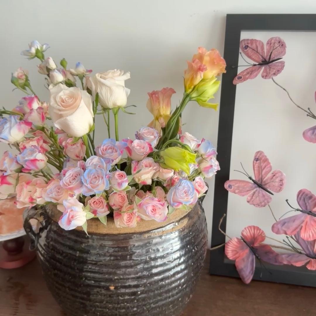 嬉妤胥(两只妤的小家)