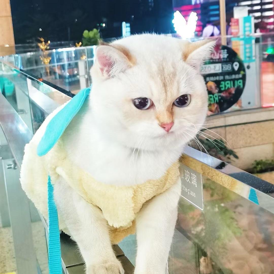 @金双喜