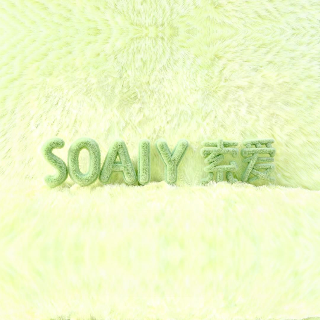 SOAIY影音旗舰店