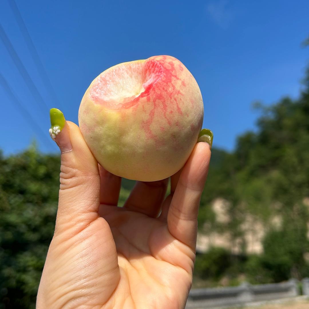 陌陌陌陌