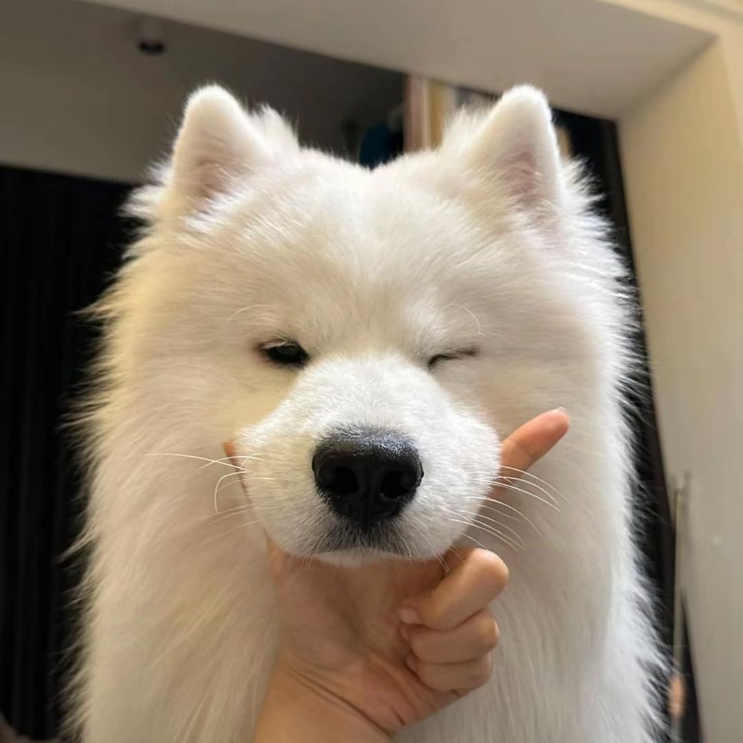 某 某 ^