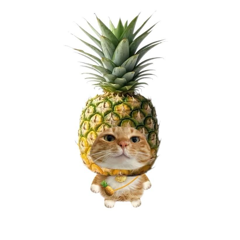 别讲那么多菠萝