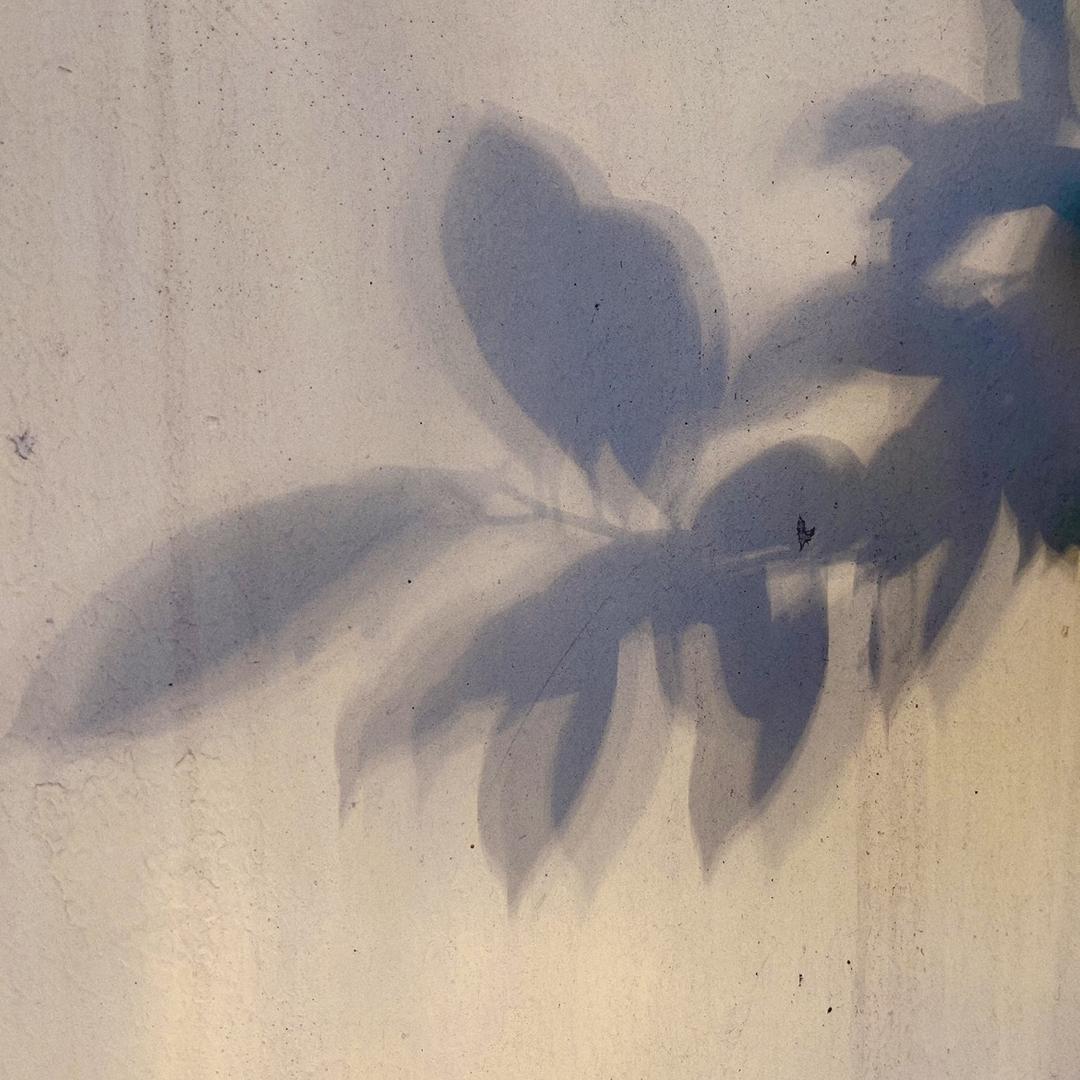 M天天