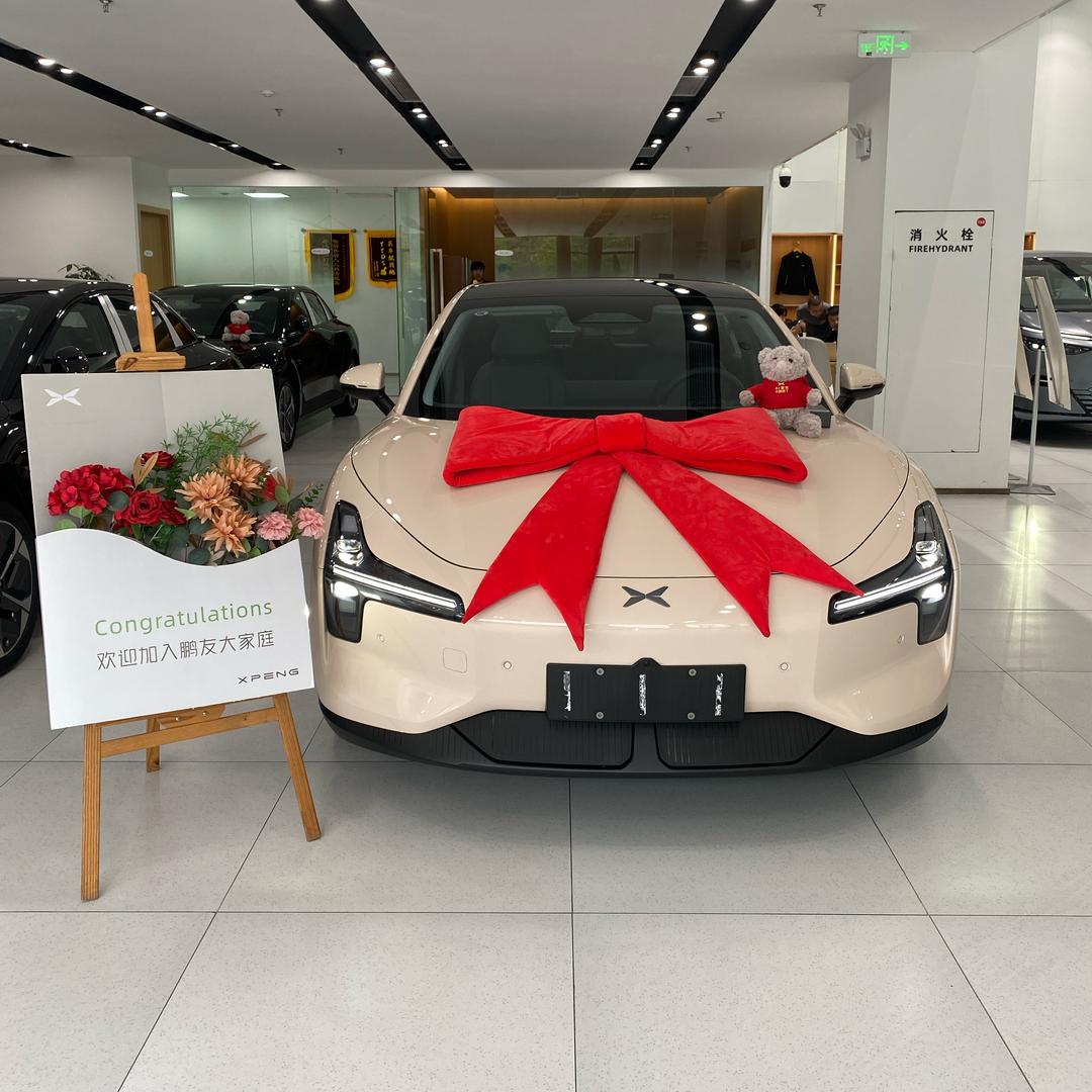 中南小鹏-李彪标