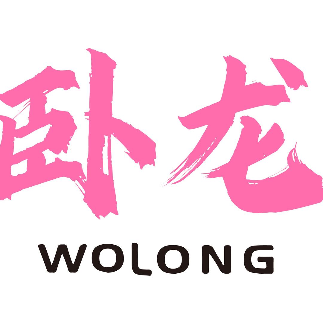 卧龙乒乓(国货)