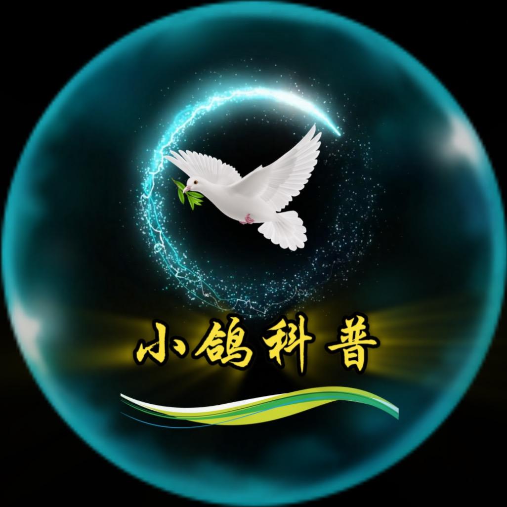 小鸽科普