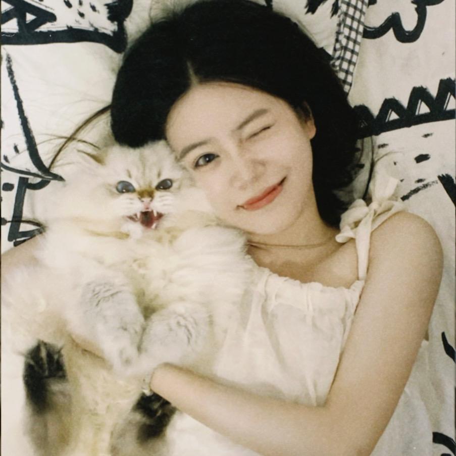 拯救小猫无敌