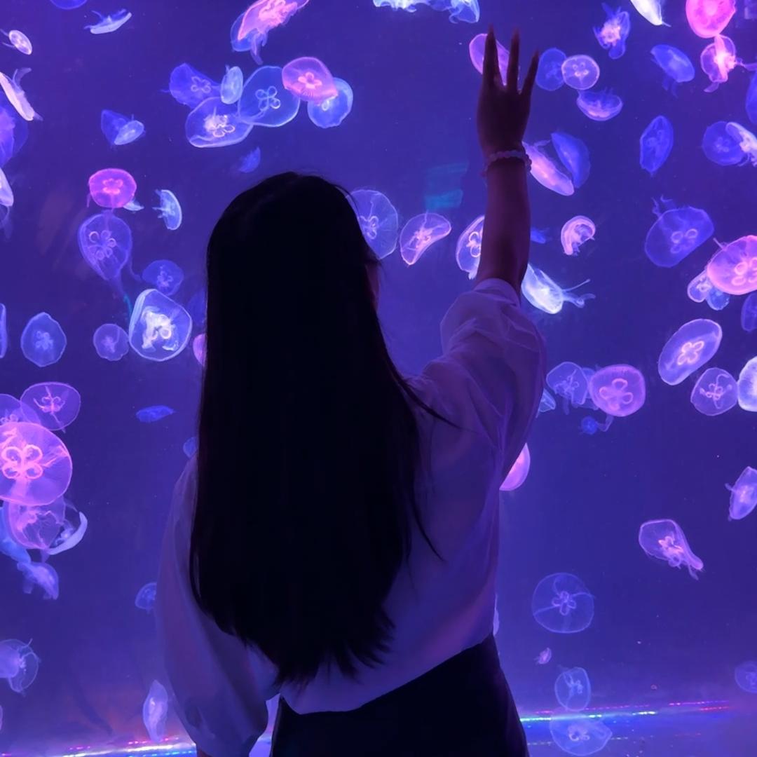 广西小芳姑凉