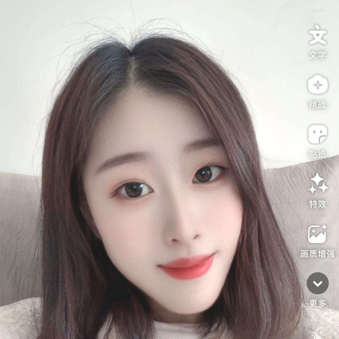 高峰装饰-燕子$苏宁易购NO.2