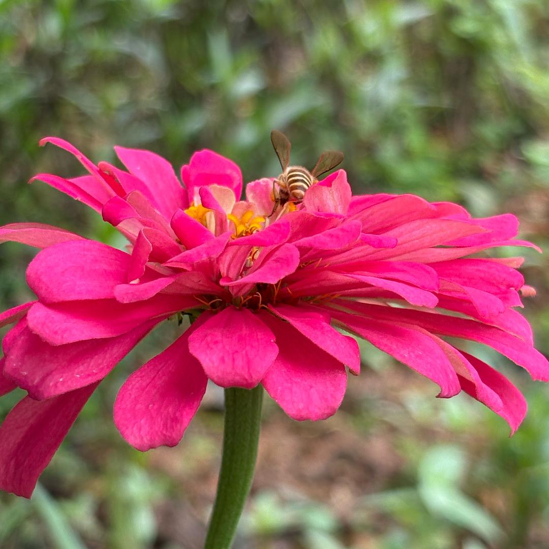 🍂若只如初见🍁