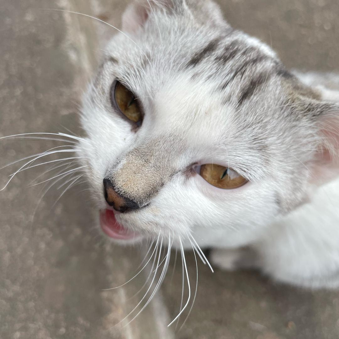 小祖宗