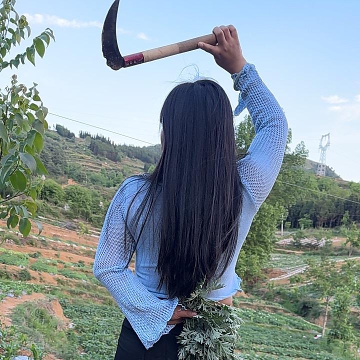 小姨妹