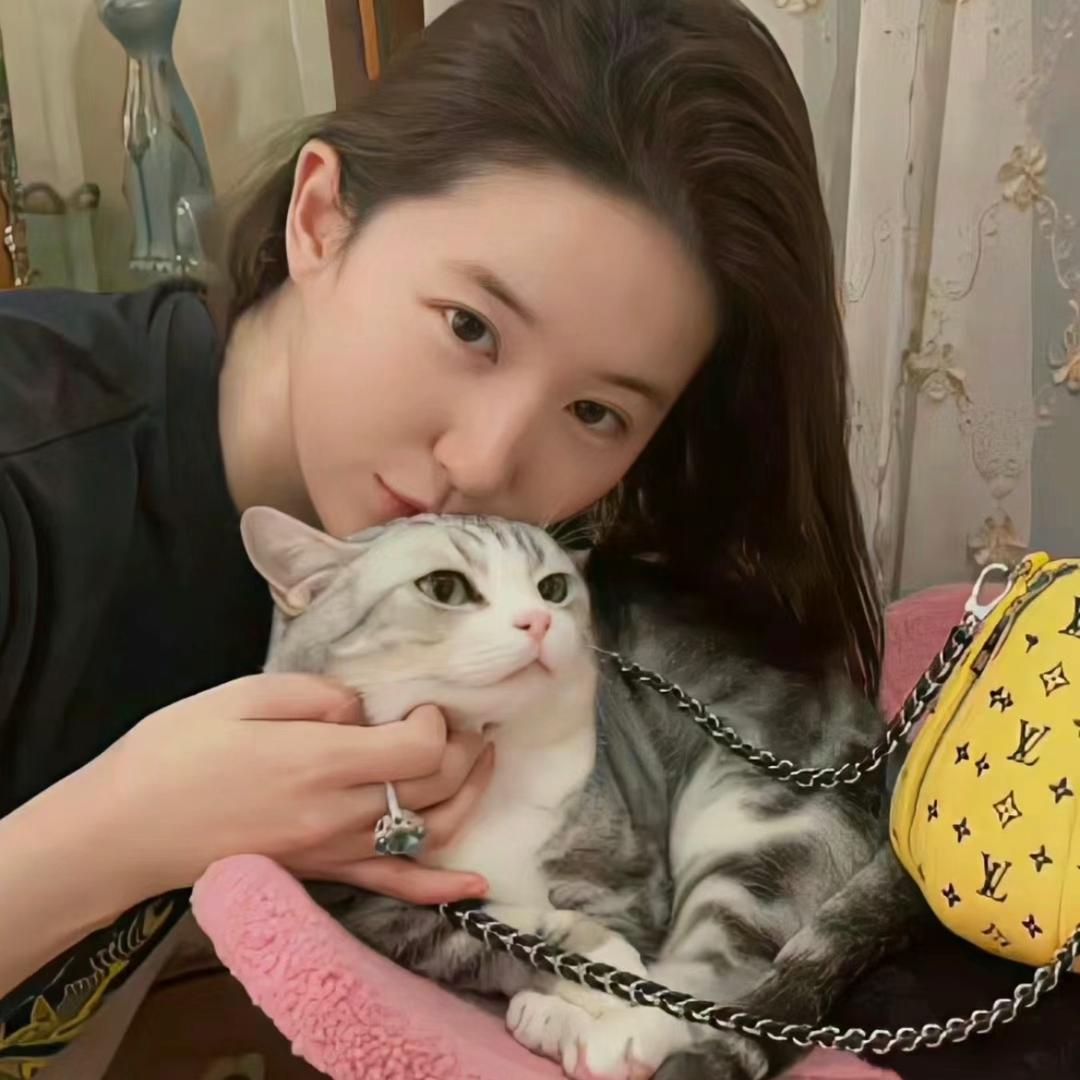 爱吃香菜的娃