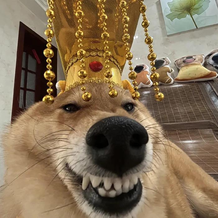 L•