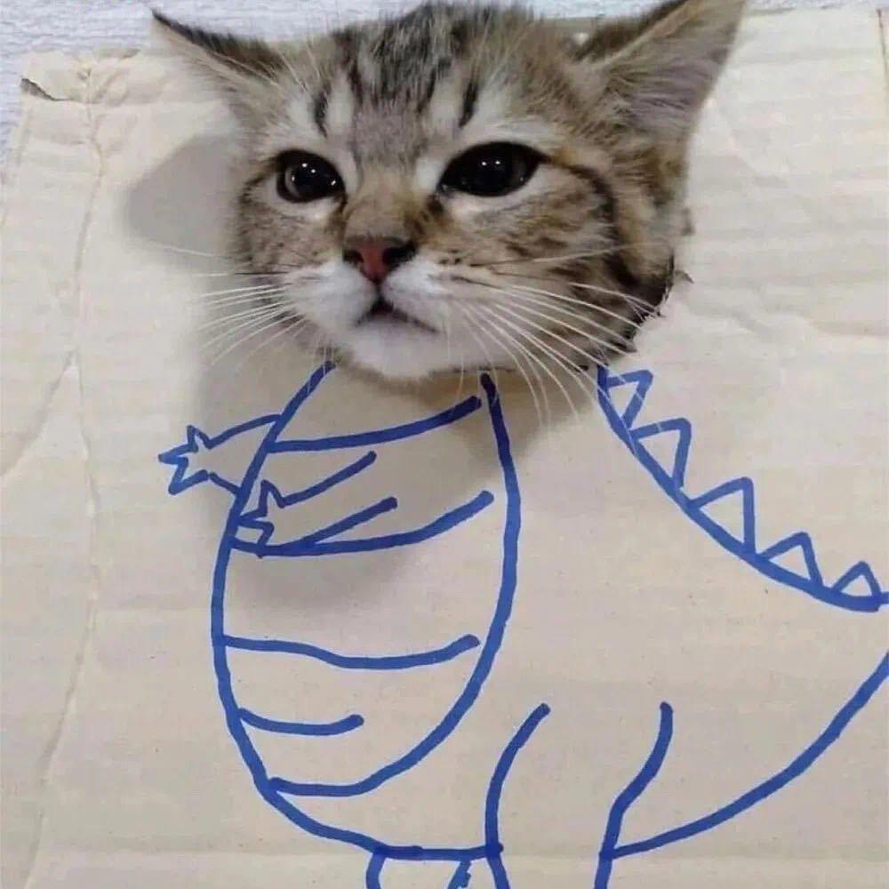 南.
