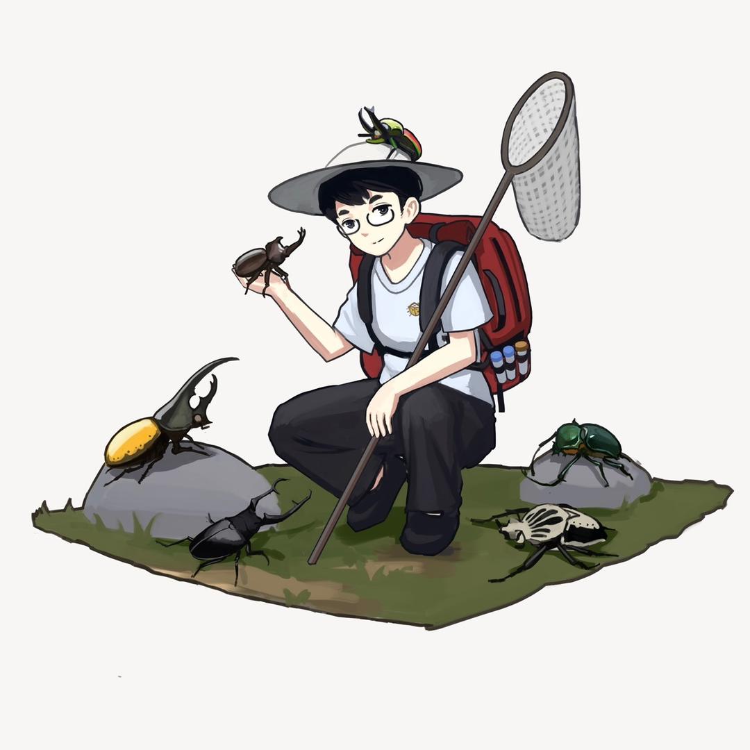 黄小白的虫