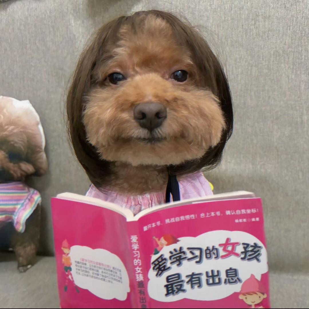小圆子