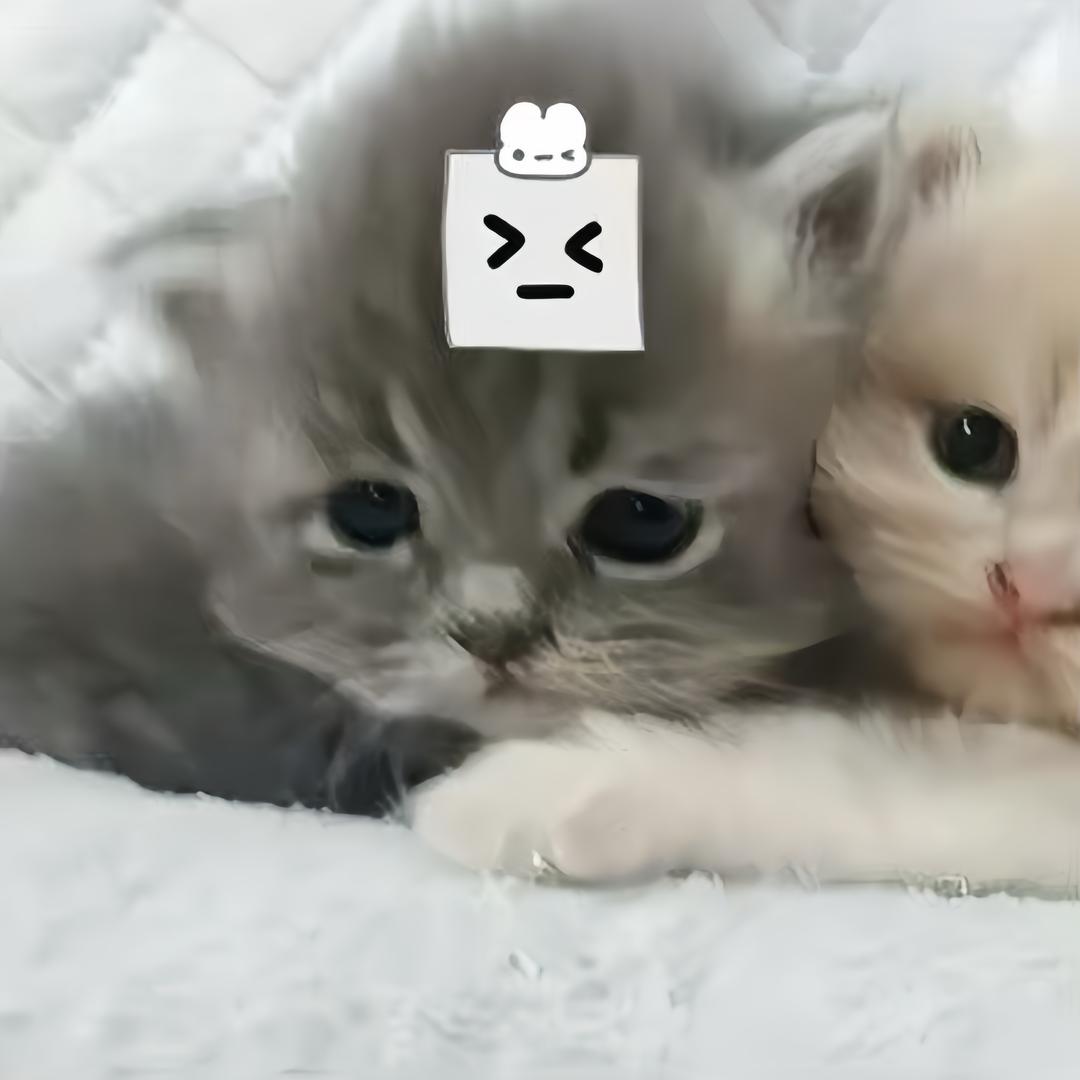 진가민