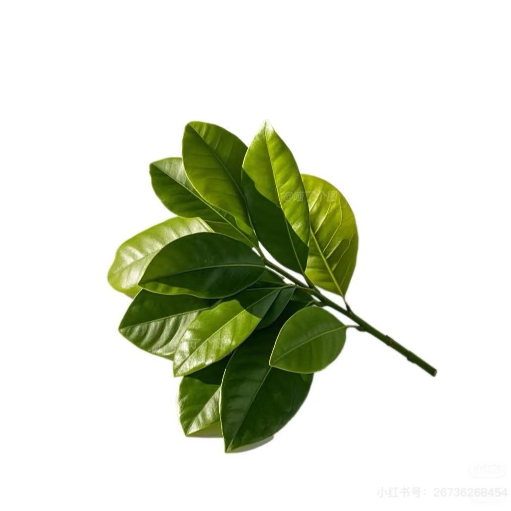 簡.