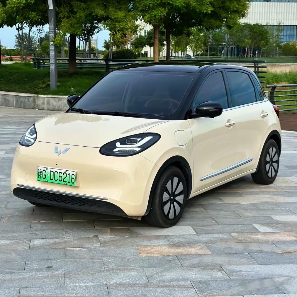 五菱缤果（最新行情）