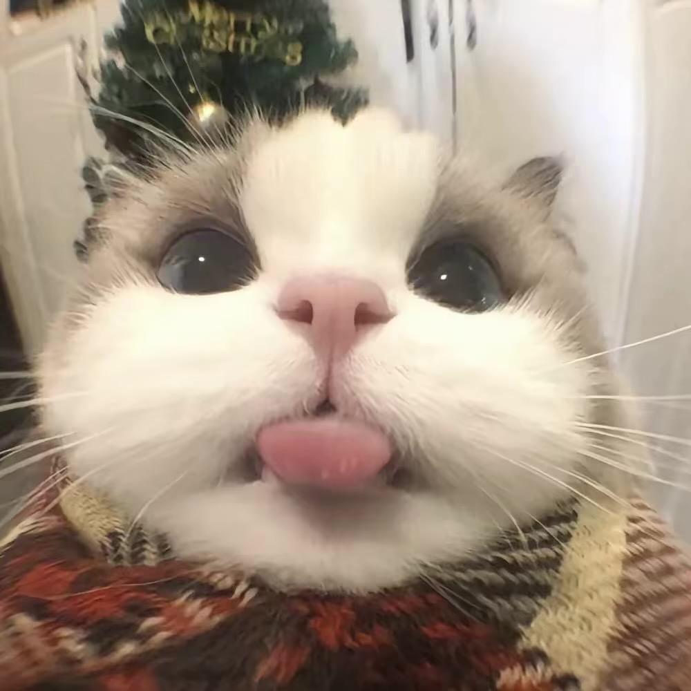 懒得热情