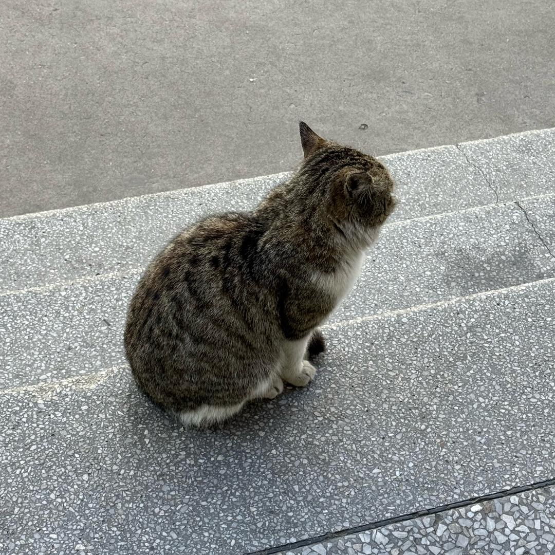 酱酱
