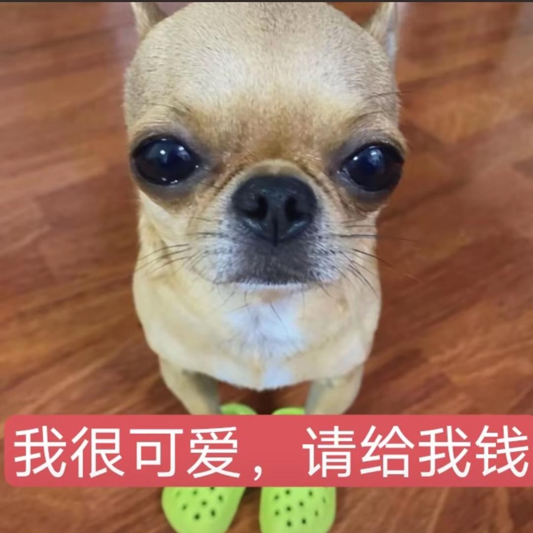 滚一边去