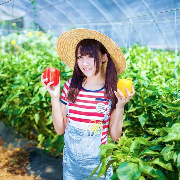 田园👒晴岚
