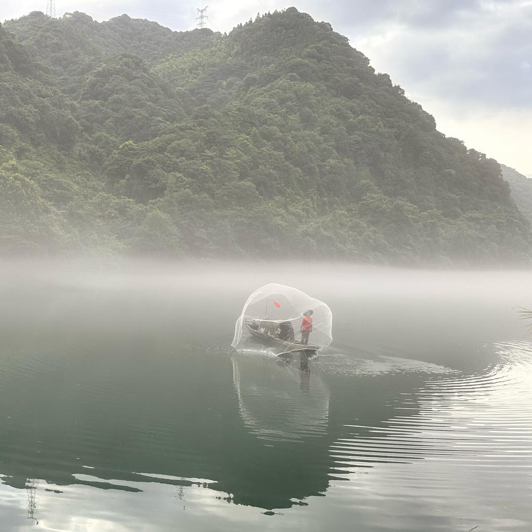 栖凤渡茶油鱼粉
