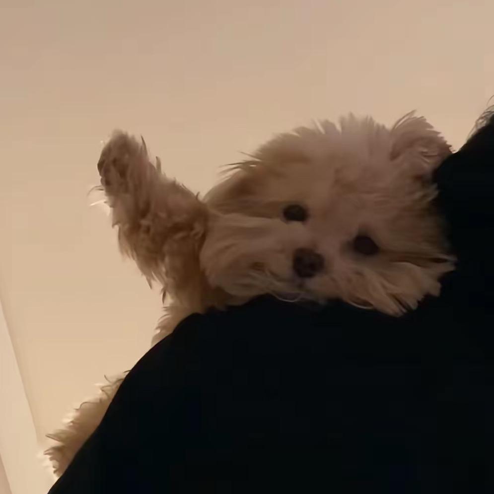 睡个好觉