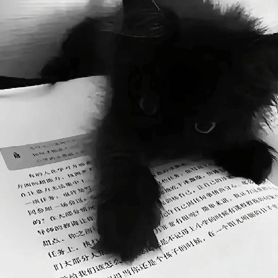 忘了什么