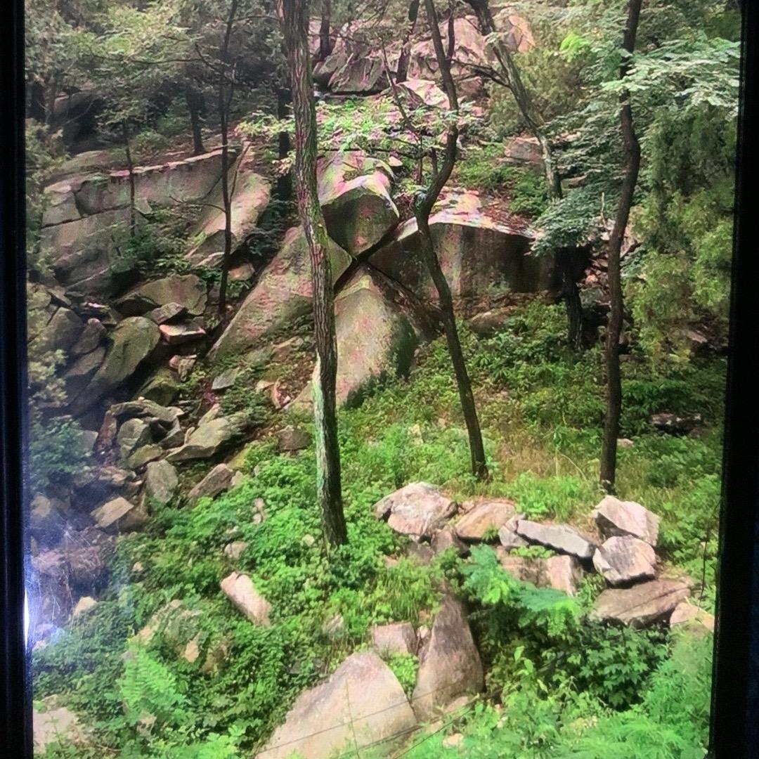 修慈
