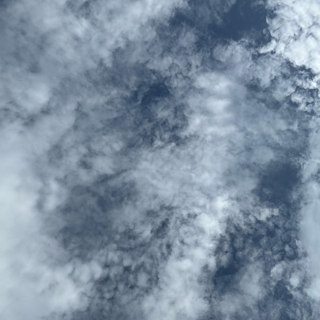 漂泊在外