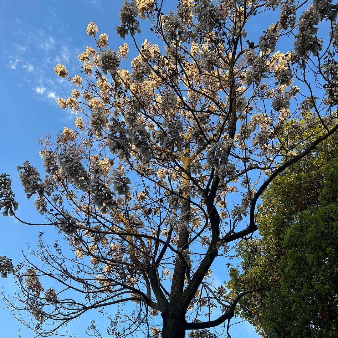仪然